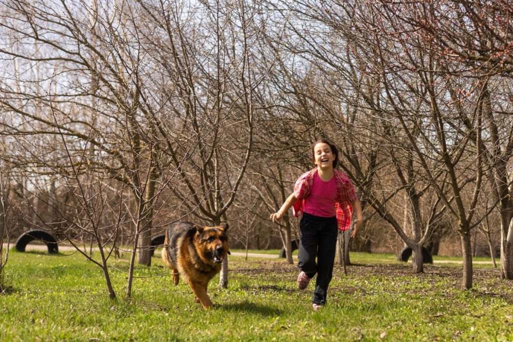 chien-court-avec-enfant