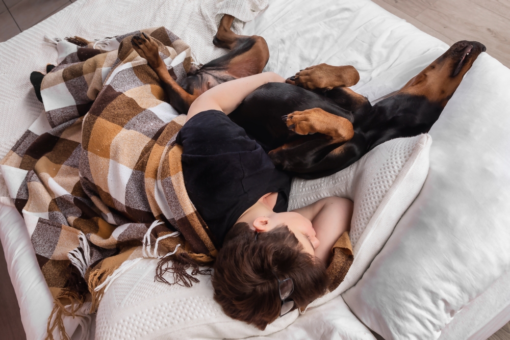 chien dans un lit d'humain