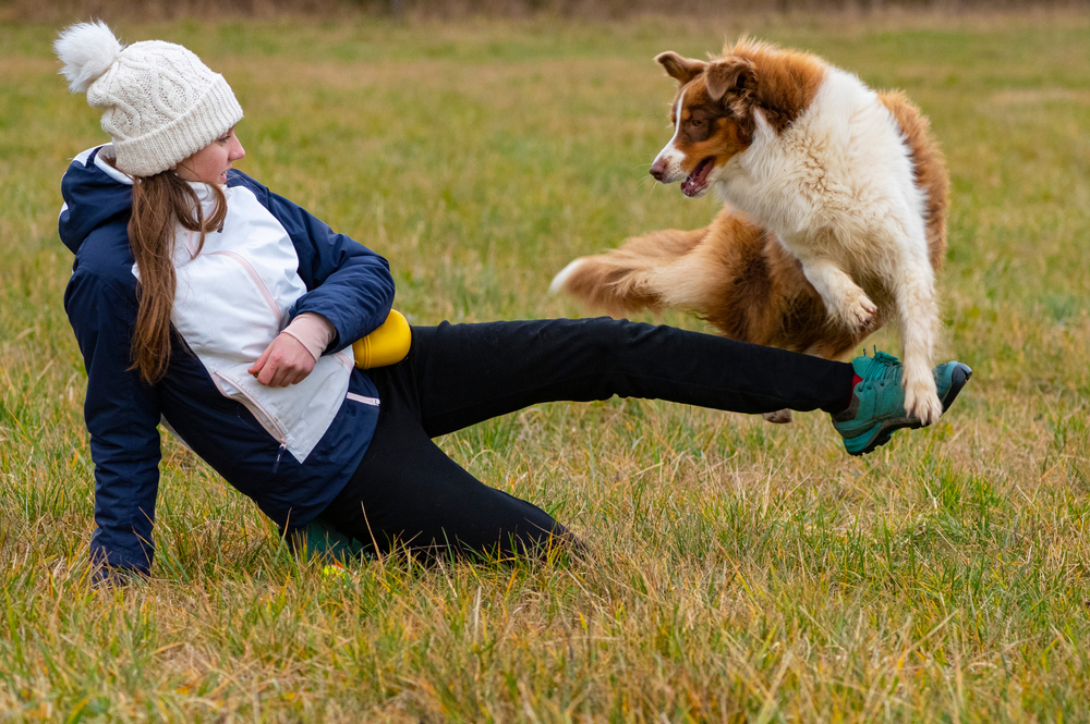 danse freestyle chien