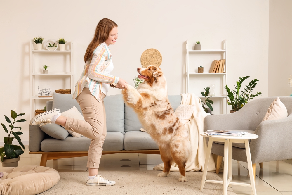 sport canin dog dancing