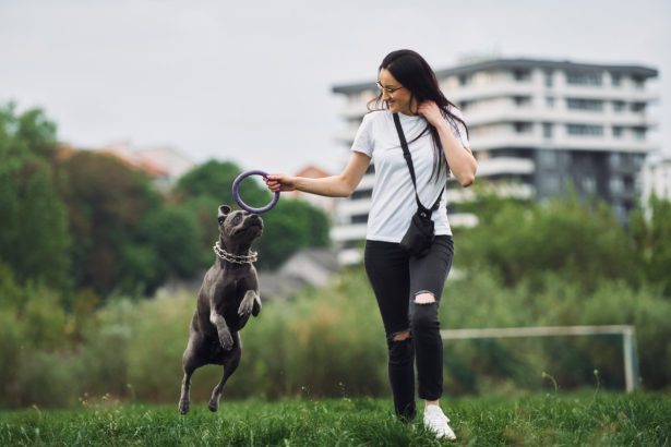 pratiquer un sport canin avec son chien