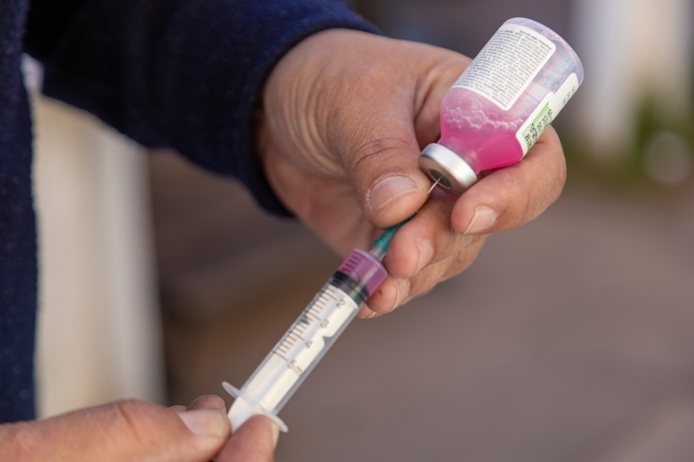 rappel annuel vaccination chiens